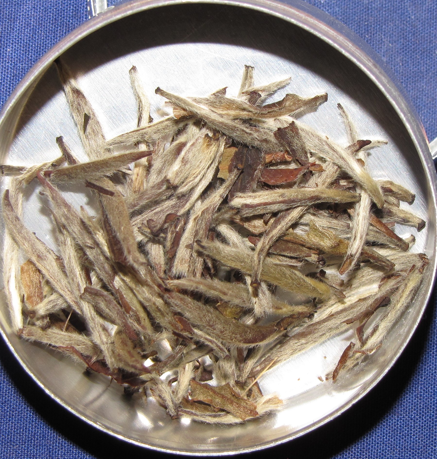 Silver Needle White tea