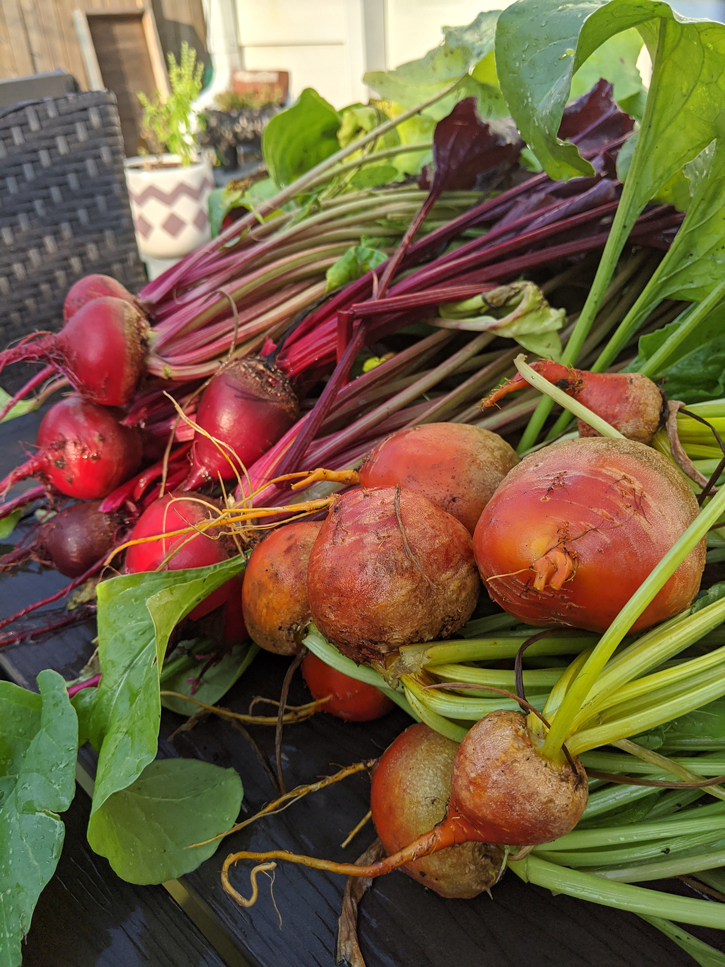 various root vegetables in basket