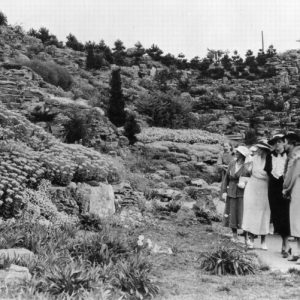 1930s. Rock Garden - 1 - undated perhaps 1930s group of four women standing in the newly constructed rock garden.