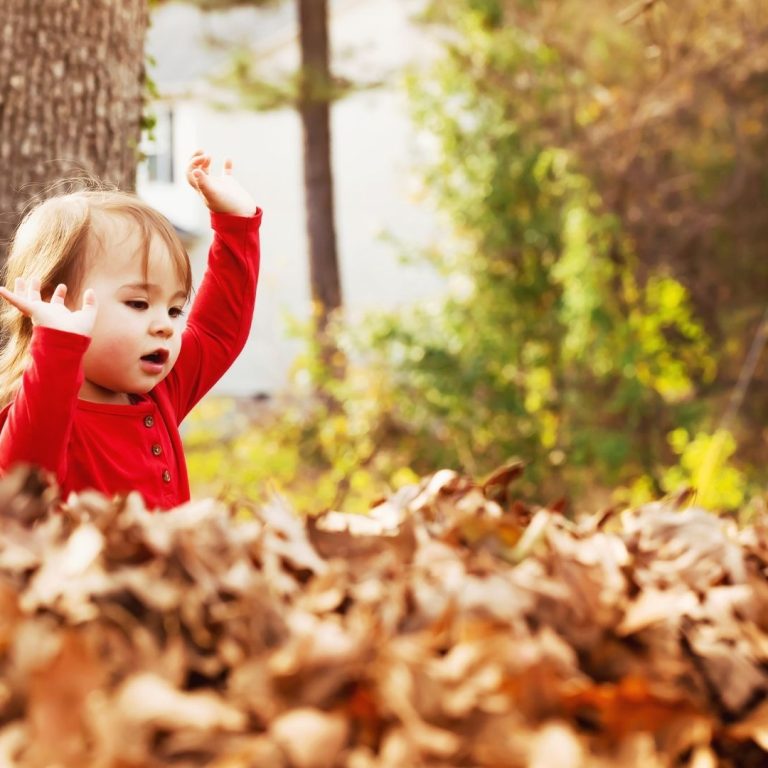 infant playing in leaves