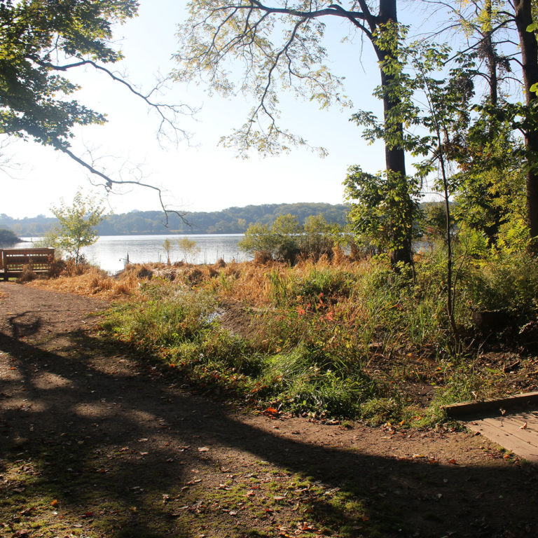 Lookout Point On A Cootes Paradise Trail