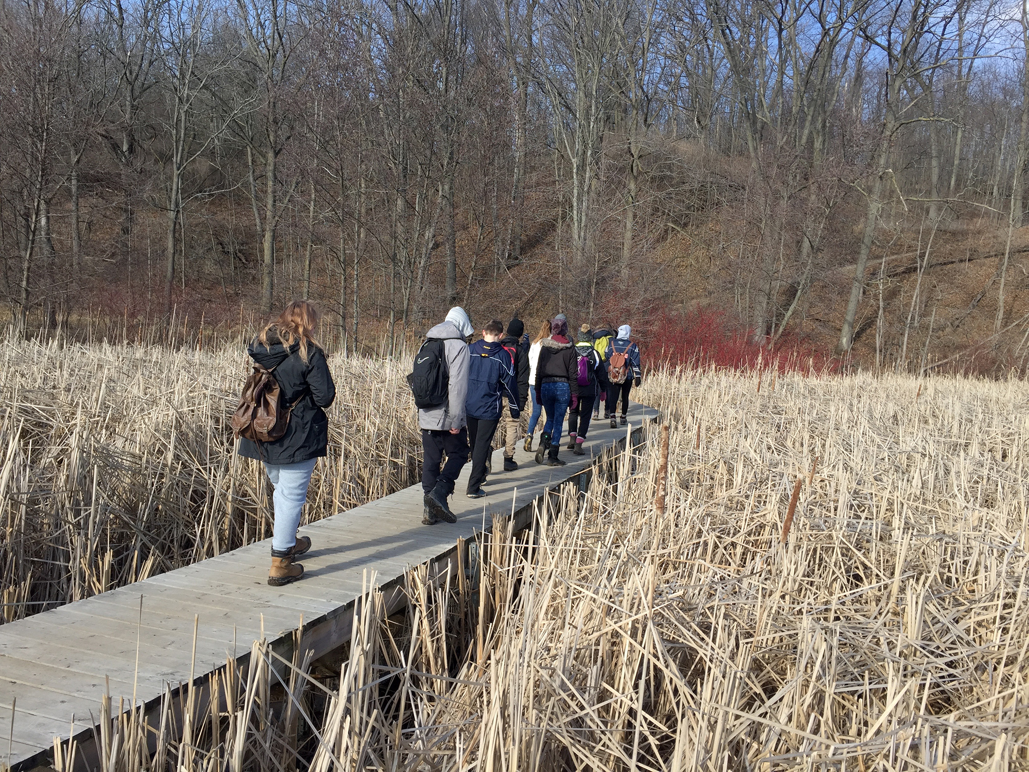 Yes Alliance hiking A Boardwalk Trail