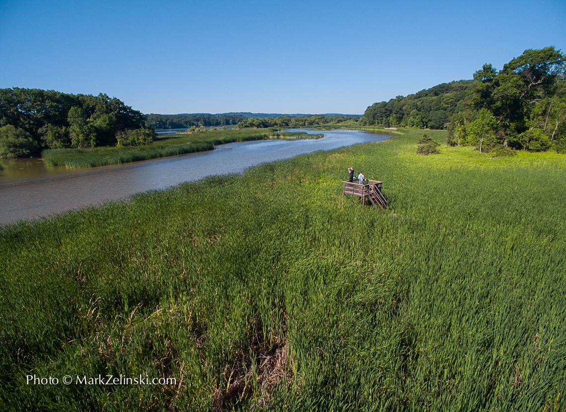 Aerial Of Marshland In Summer With Lookout Point