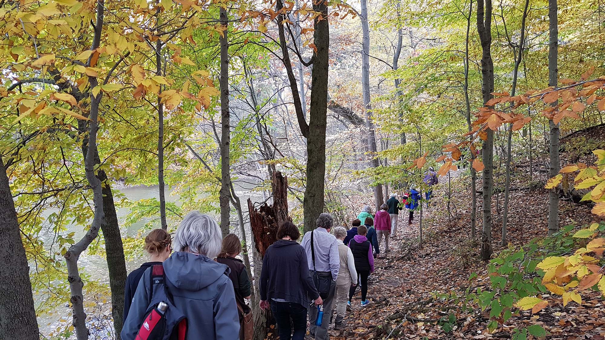 Back To Nature Hike Group On Trail