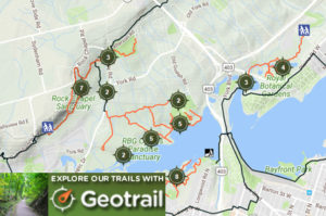 Geotrail Map With Logo