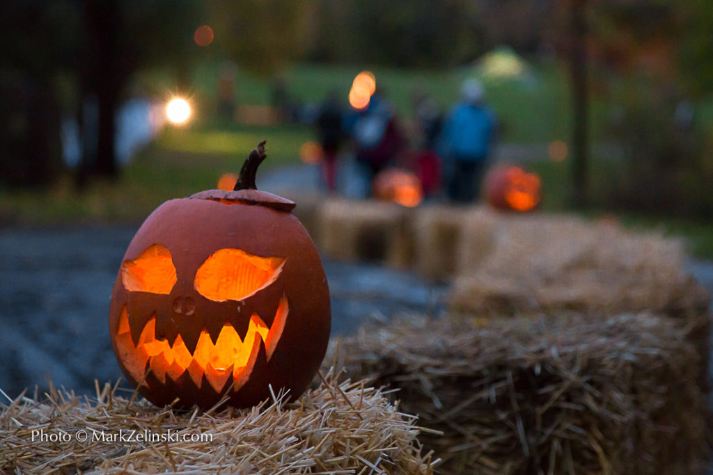Great Pumpkin Trail Jack O Lantern On Hay Credit Markzelinski.com
