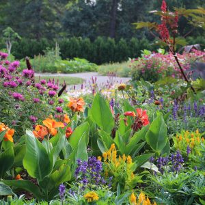 hendrie-park-global-garden-in-bloom Hendrie Park Global Garden In Bloom