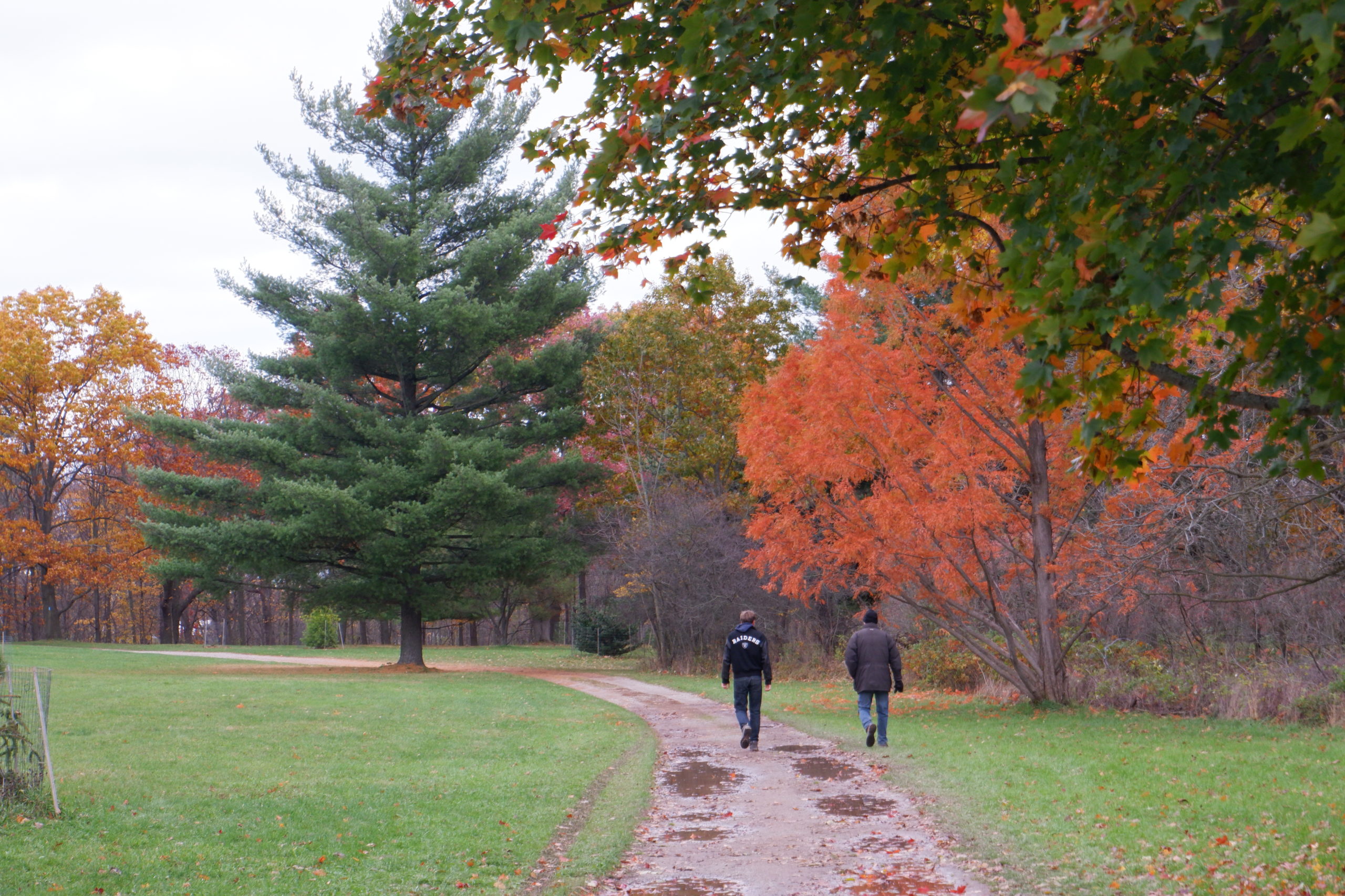 Hikers Walking Down Pinetum Trail In Fall