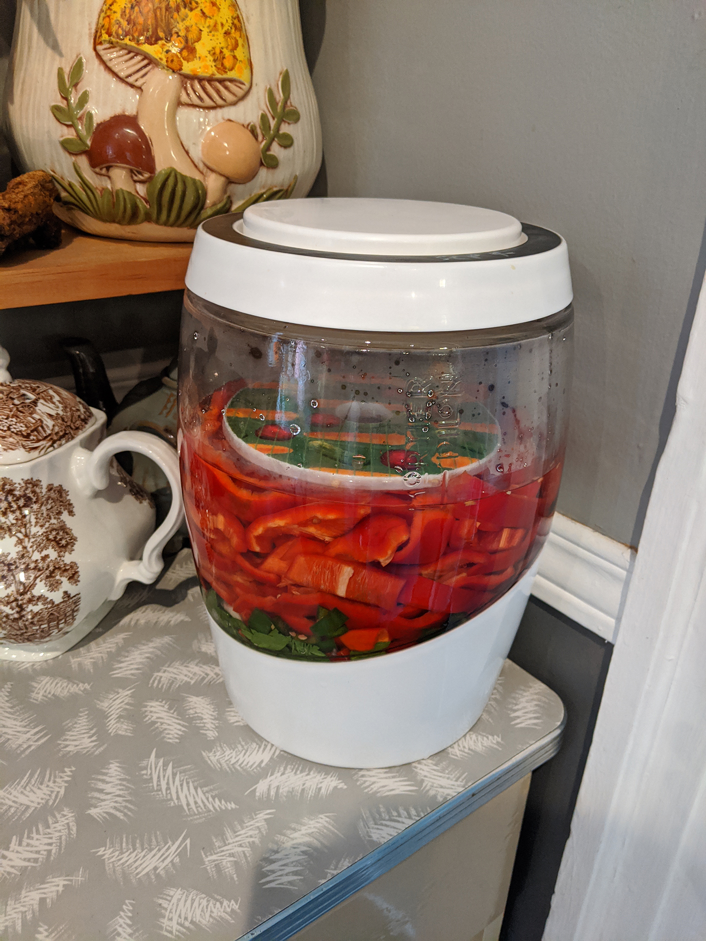 Peppers in fermenter