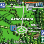 Arboretum