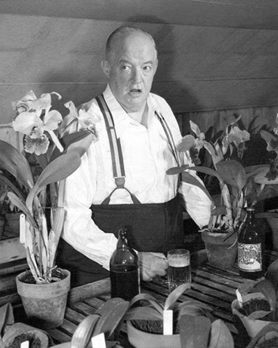 Nero Wolfe and An Obsession for Orchids