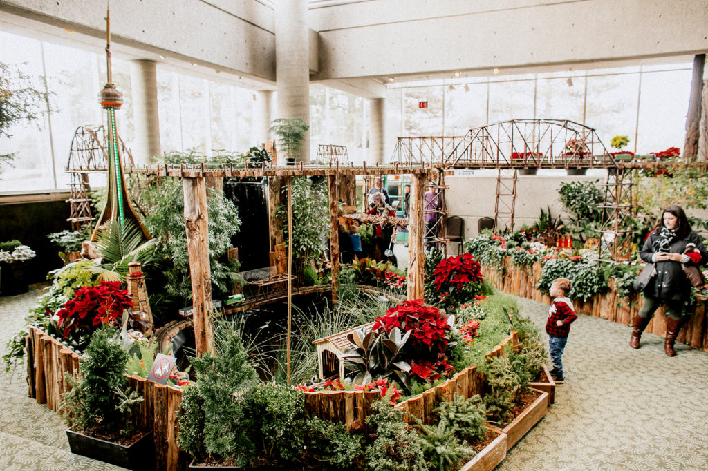Christmas at the RBG