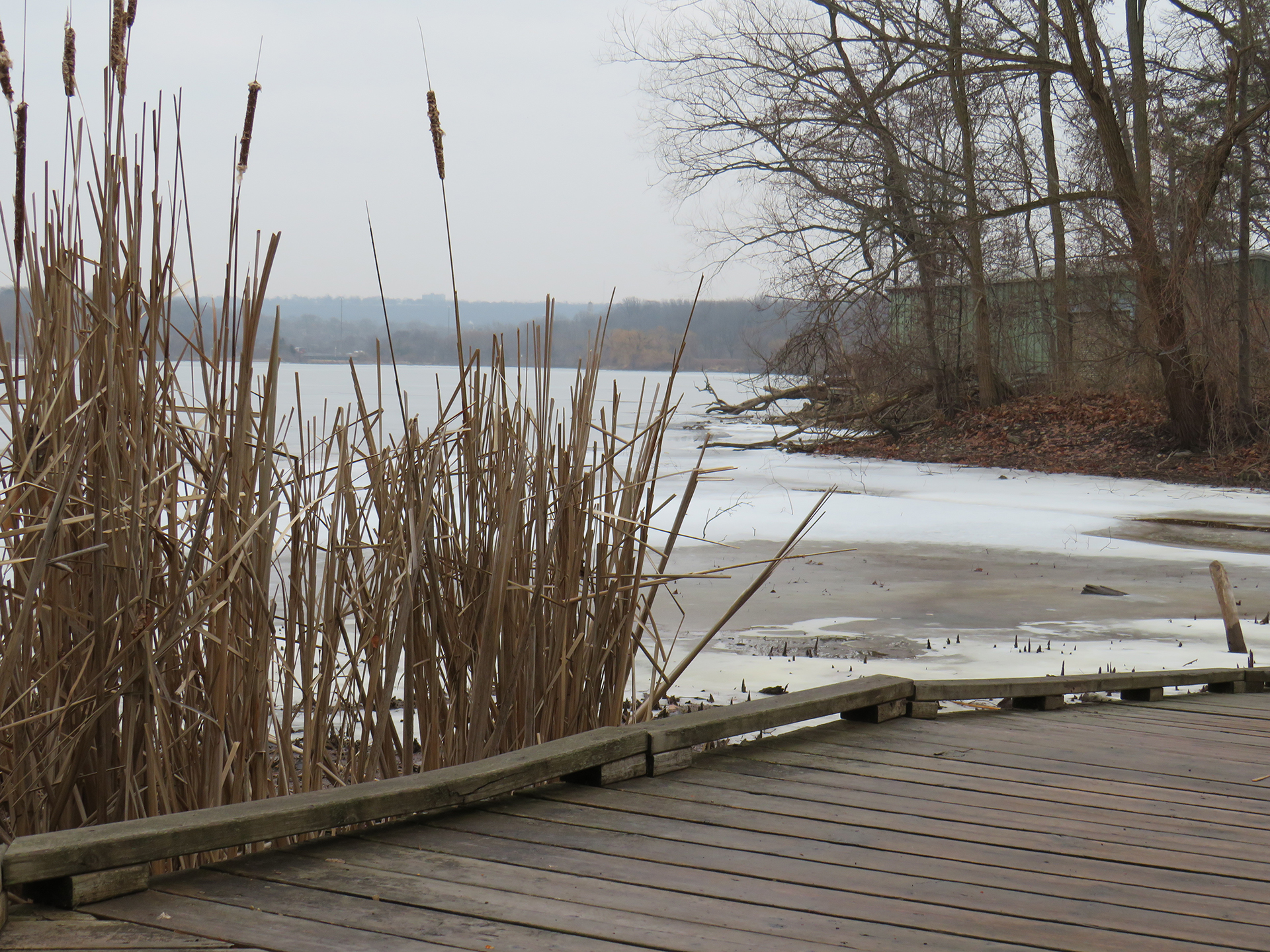 Cootes Boardwalk in winter