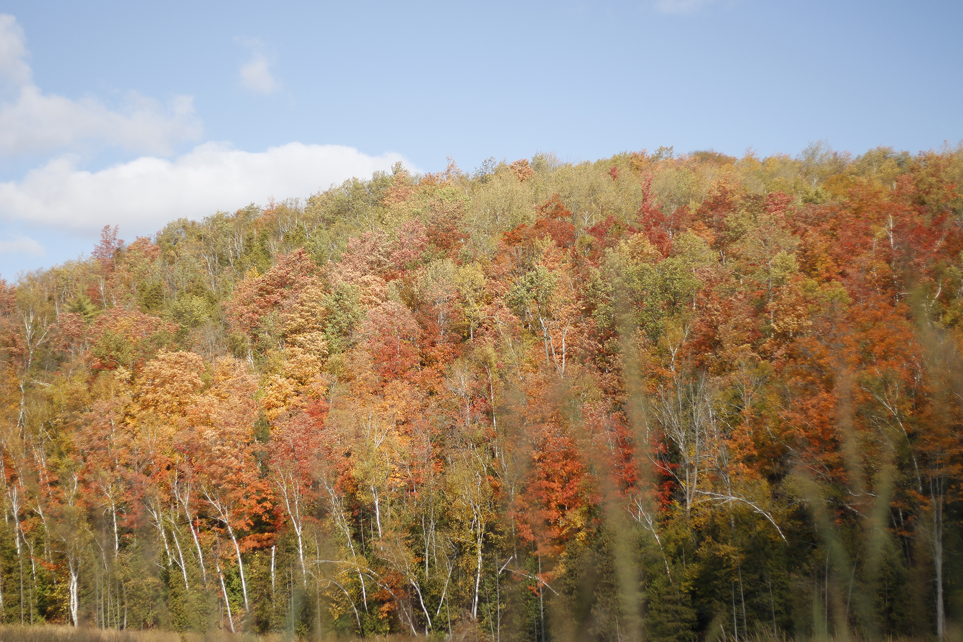 Escarpment hill with fall colours