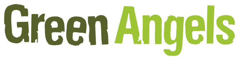 green angels logo