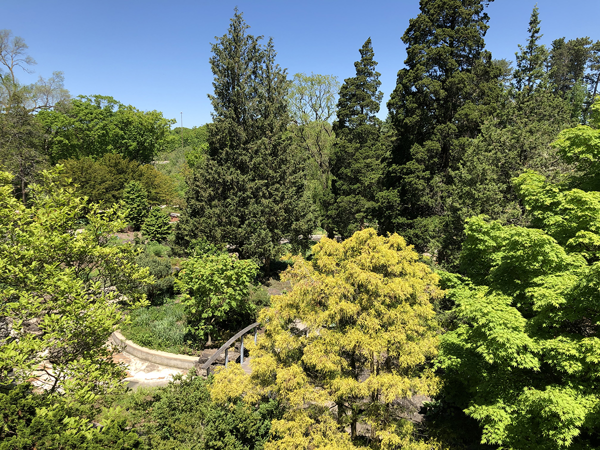Lookout view at Rock Garden in June
