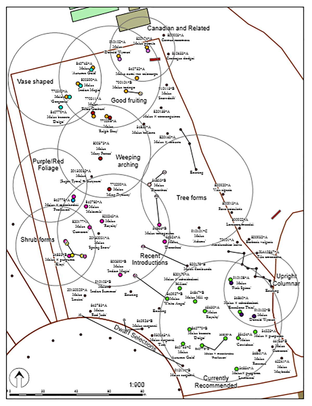 Malus Collection map from 2016