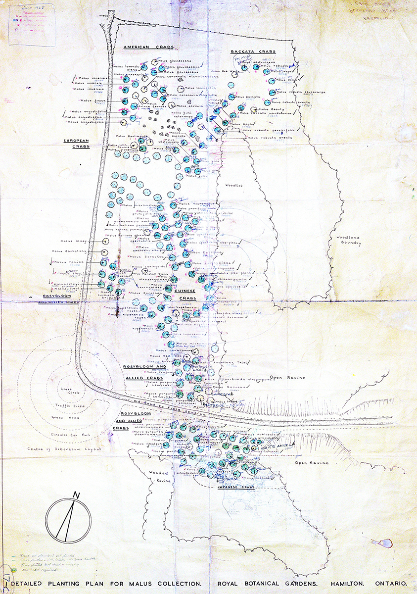 Map of the Malus collection from July 1968