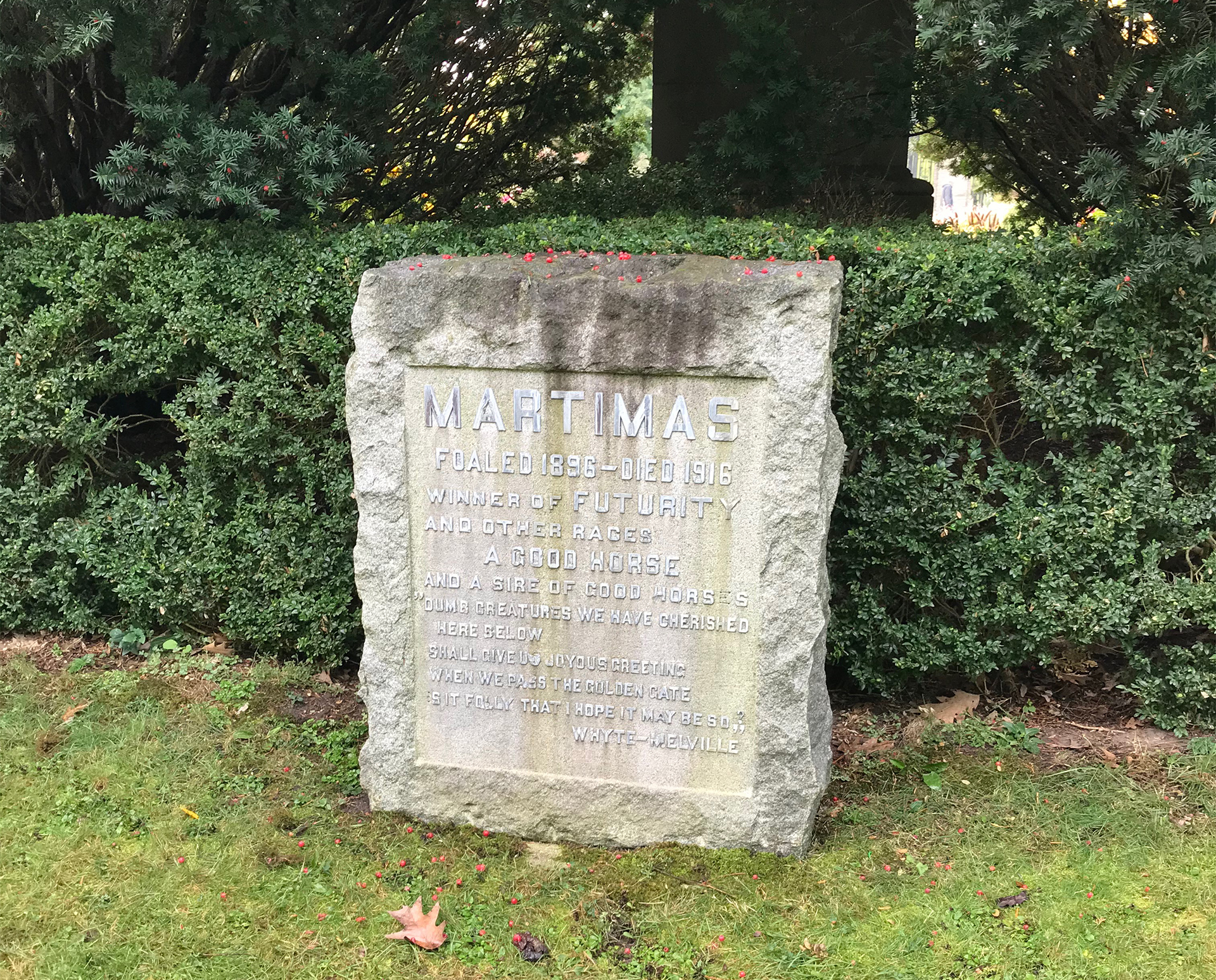Grave stone dedicated to Martimas