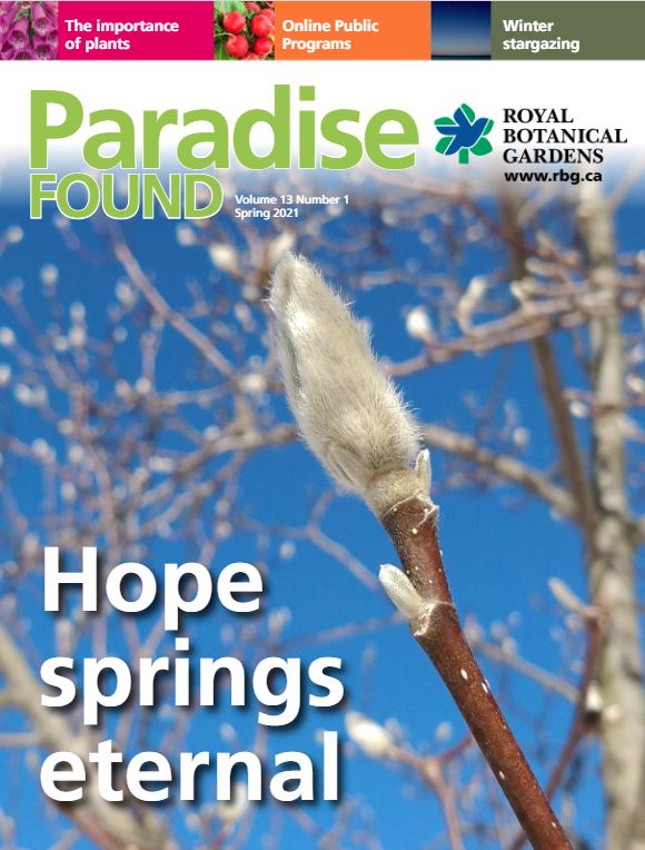 Paradise Found magazine cover - magnolia buds with "Hope Springs Eternal" tagline