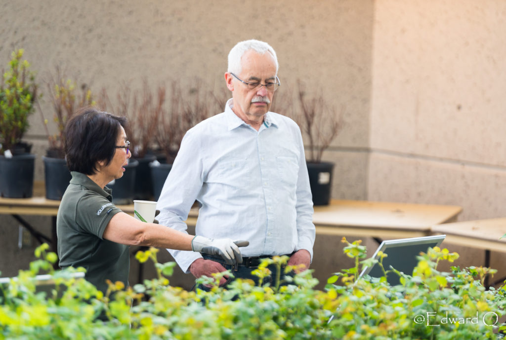 Plant Faire Volunteer Helping Visitor Select Plants