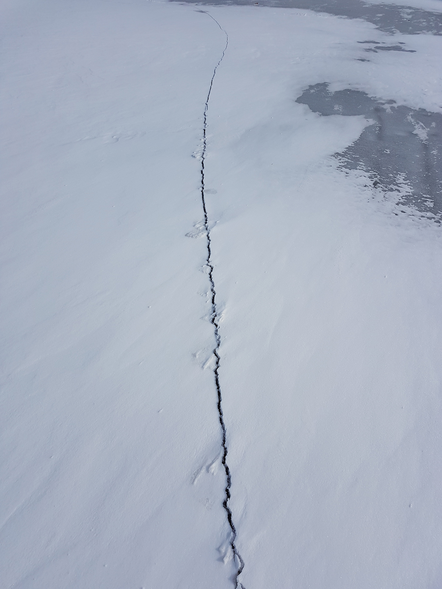Pressure, currents and moving ice cause leads to open.