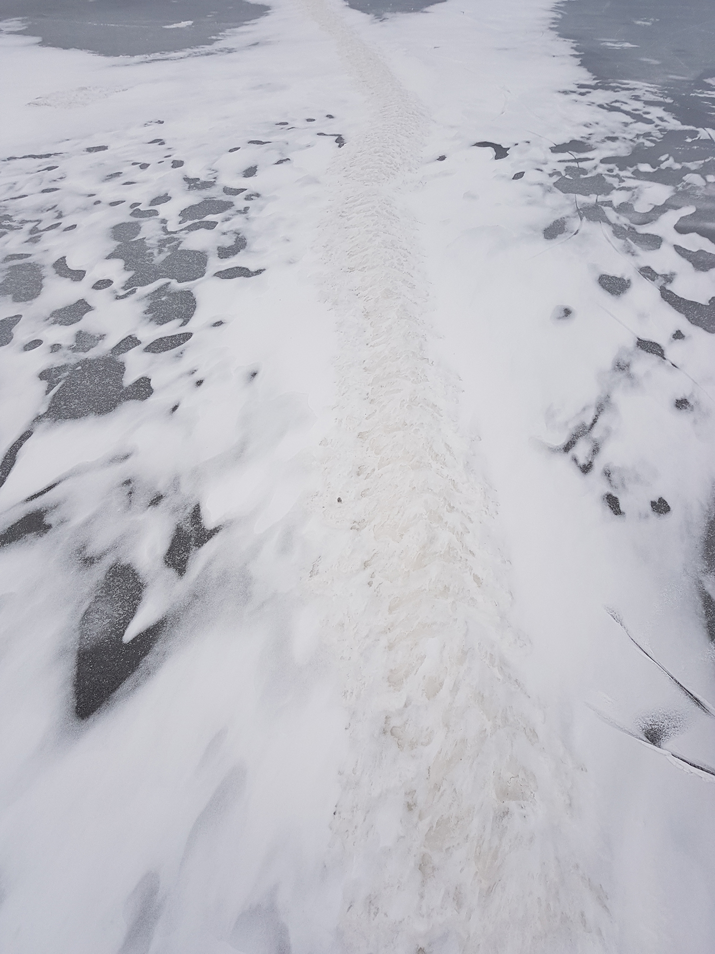 Pressure ridges form as plates of ice push up against each other
