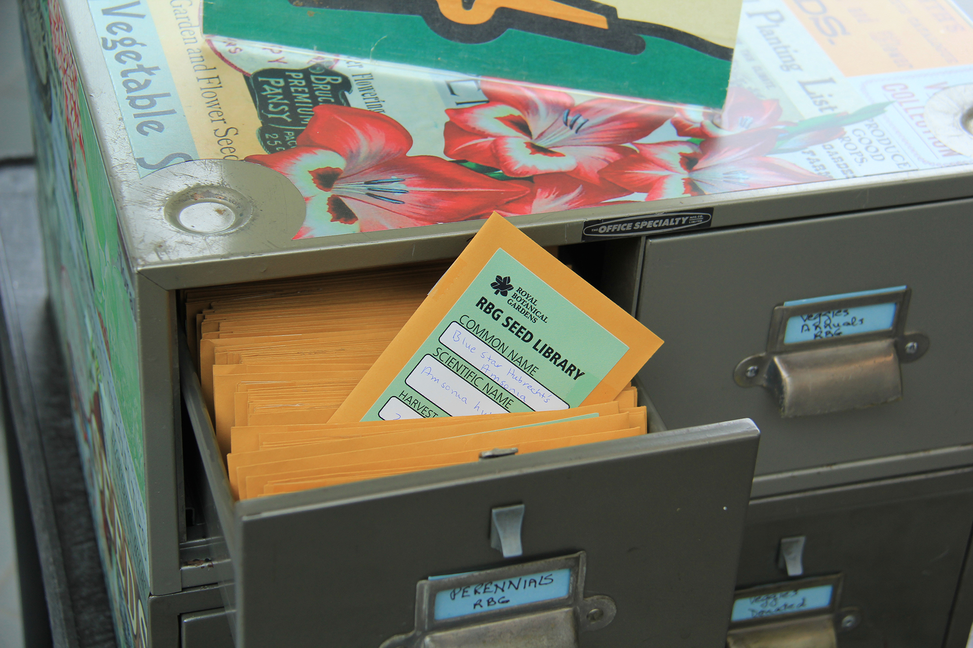 RBG seed library drawer filled with envelopes