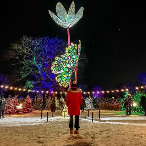 #RBGWinterWonders-BillyDhillon-Bloodroot Person in red winter coat looking up towards the lit Bloodroot sculpture