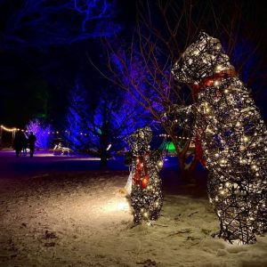 #RBGWinterWonders-FearlessAndHappyPhotography close up of two polar bear figures made out of twinkle lights