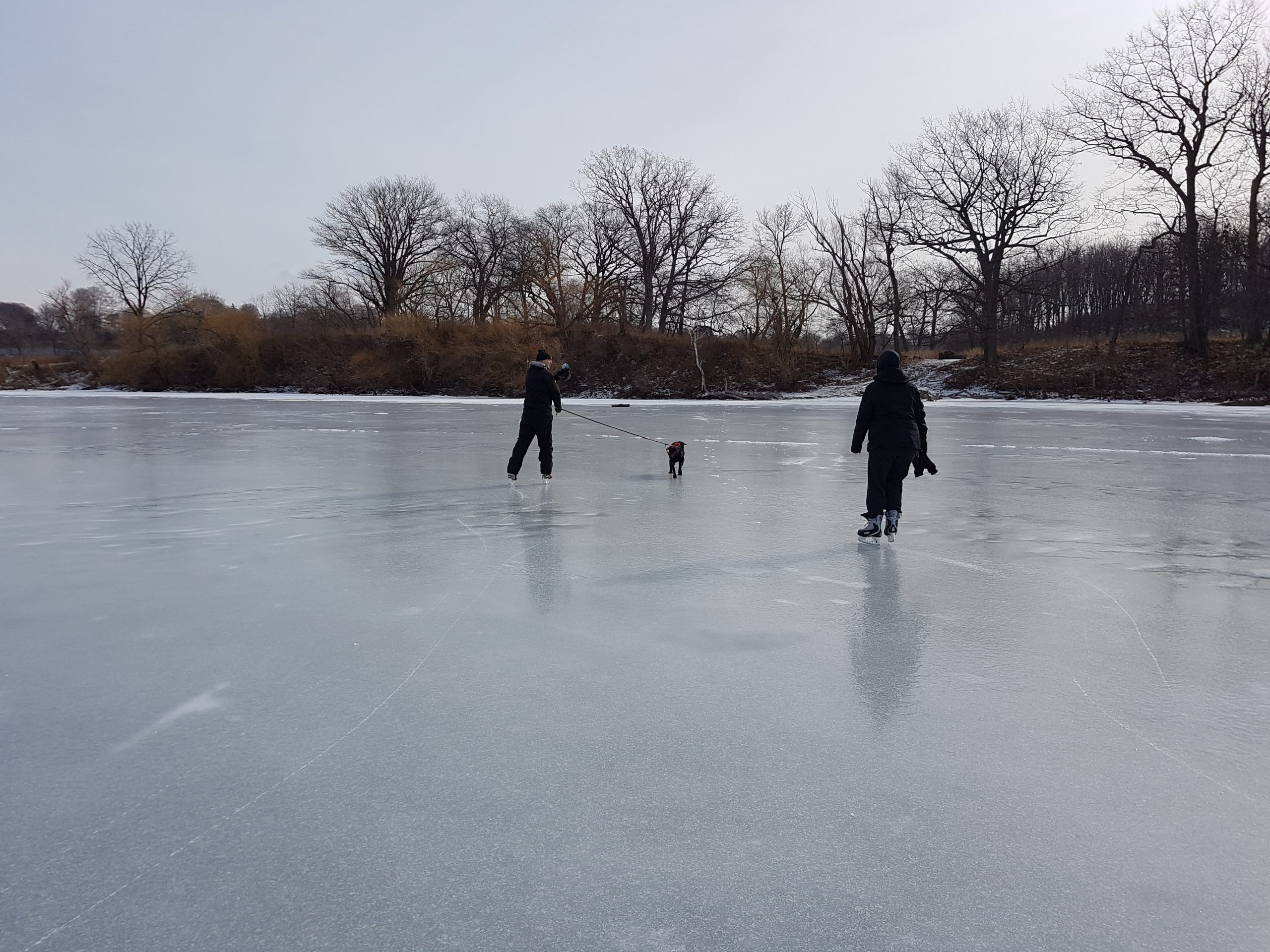 Skating at Princess Point
