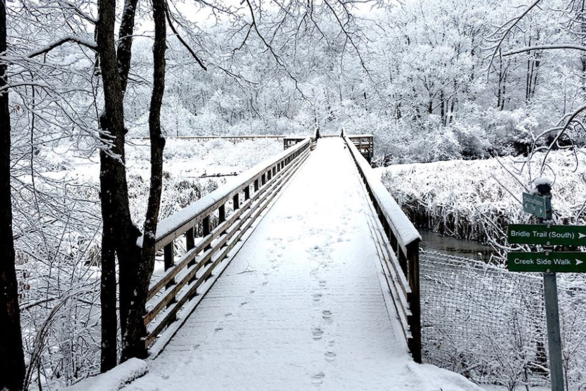 Snowy Hendrie Valley Boardwalk