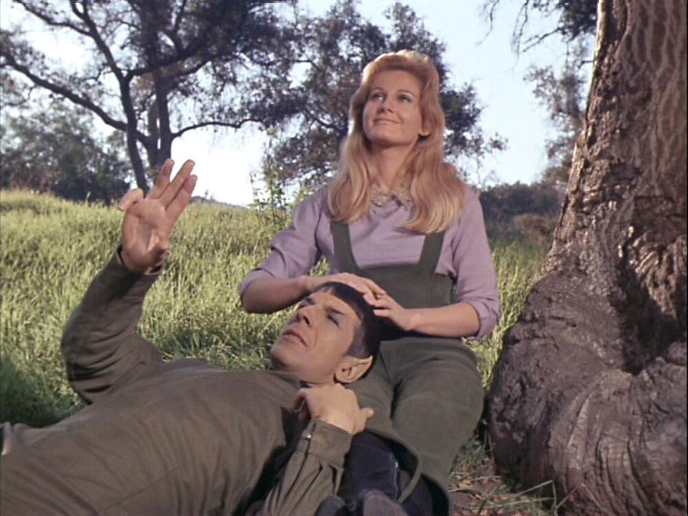 Spock and Leila_Kalomi lounging in grass