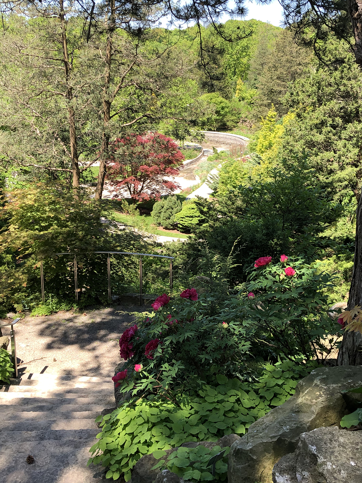 Staircase view at Rock Garden
