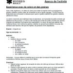 Graines Collantes l'activite