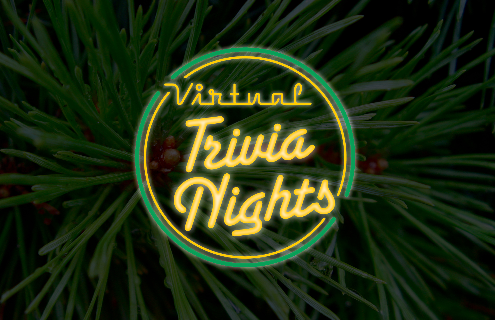 Virtual Trivia Night