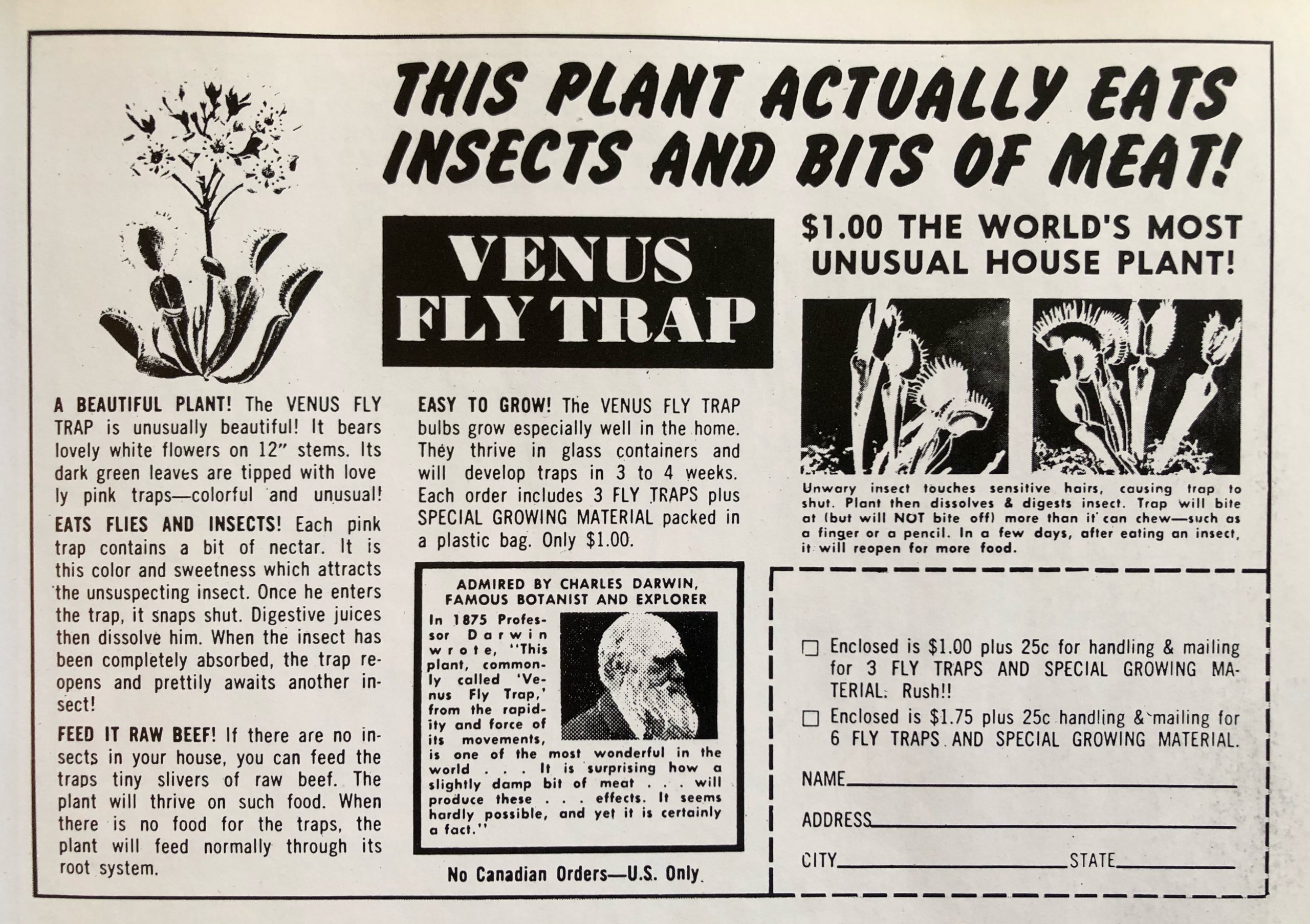 Comic book advertisement featuring the advert This Plant Actually Eats Insects and Bits of Meat circa 1973.