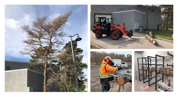 collage of construction lumber