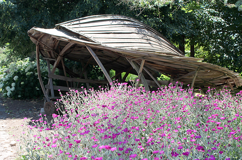Shelter - Wooden Structure with Sloped Roof