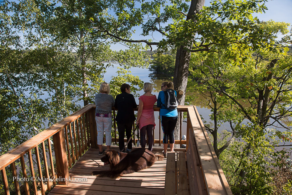 Group With Dog At Hiking Lookout Credit Markzelinski.com