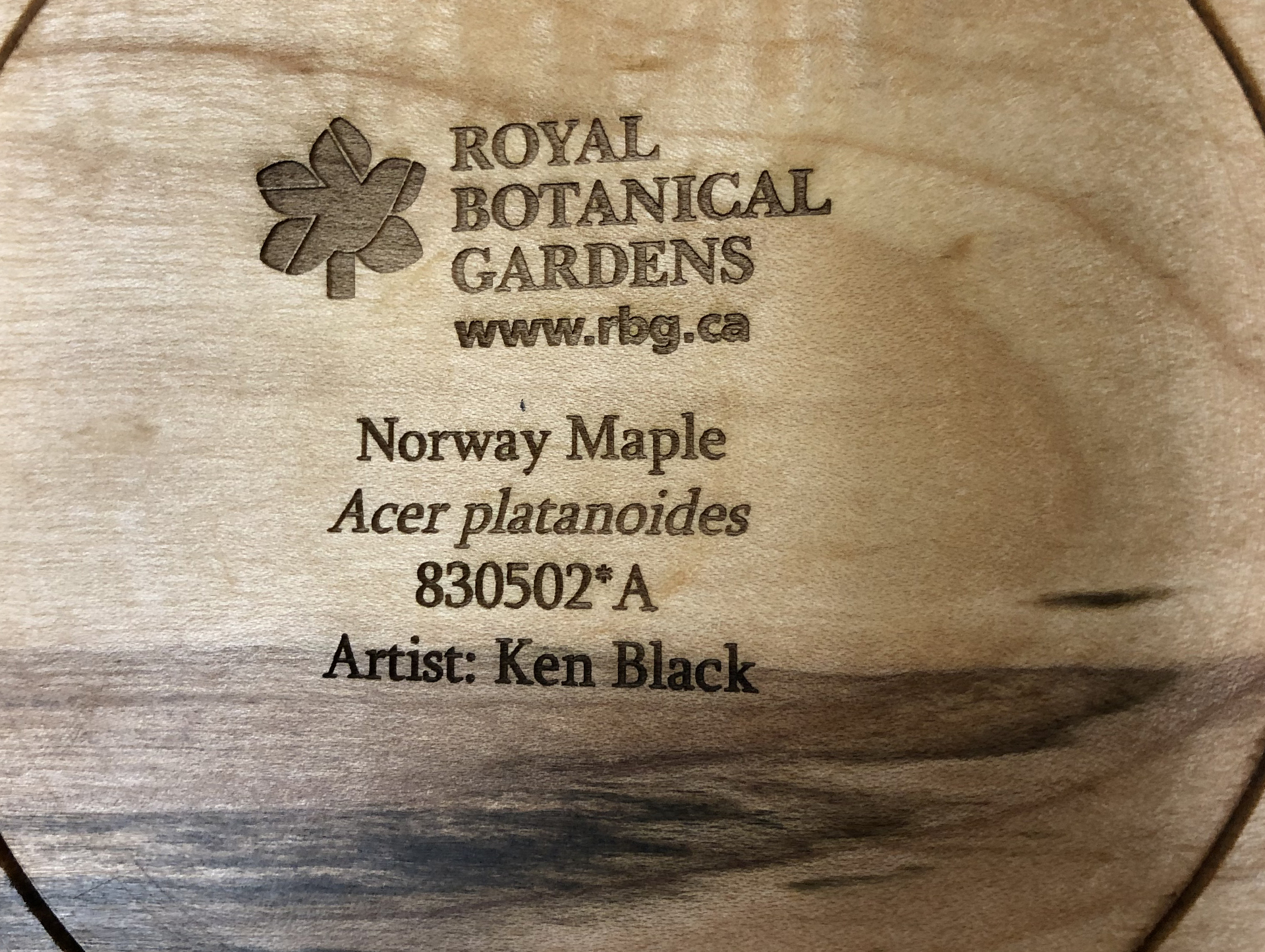 We engrave common name, scientific name, and accession number on the bottom of completed pieces providing a connection to the trees they were made from. Image by Jon Peter.