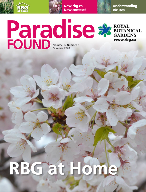 Paradise Found Magazine Cover featuring Cherry Blossoms. Title: RBG at Home