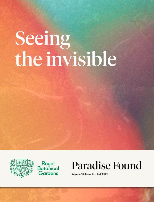 cover of the fall issue of Paradise Found