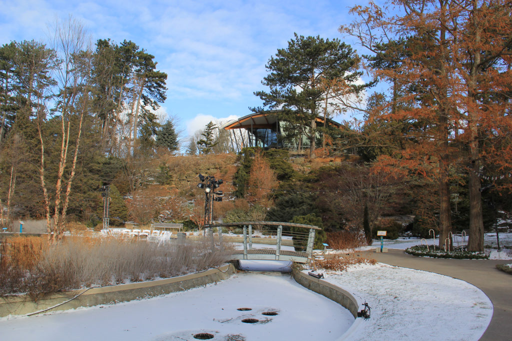 Rock Garden Lower Bowl In Winter