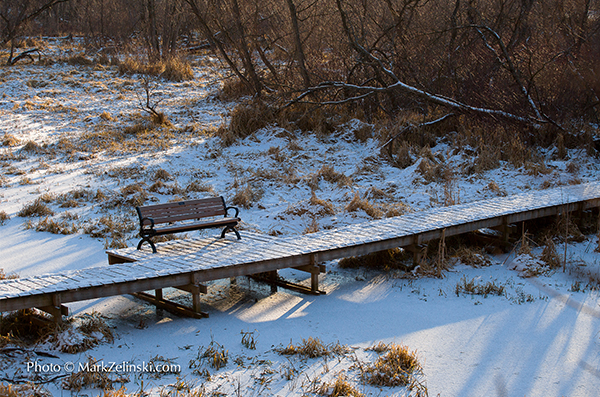 Snow Covered Bench On Boardwalk