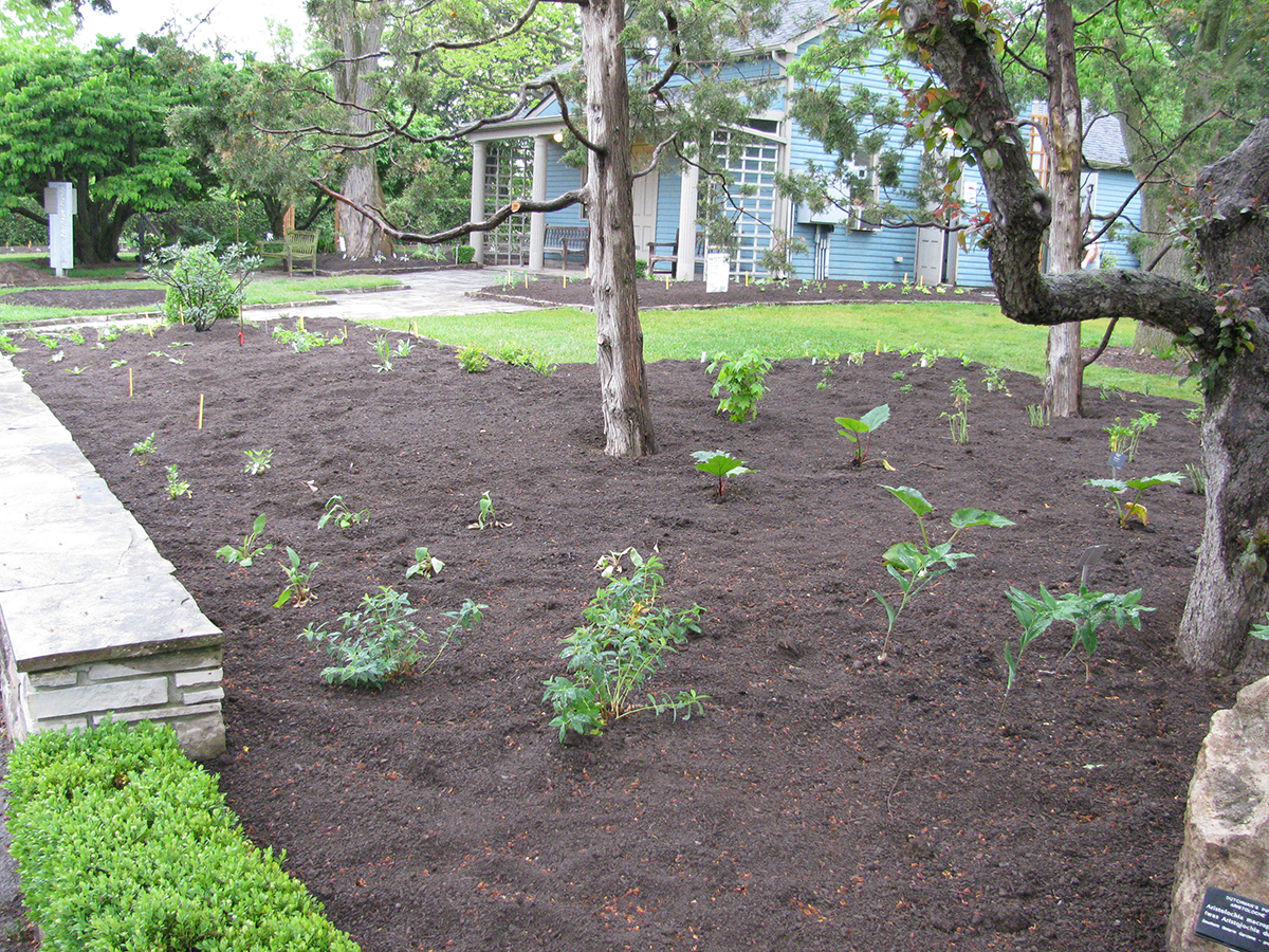 Newly planted vegetable garden at Laking Garden