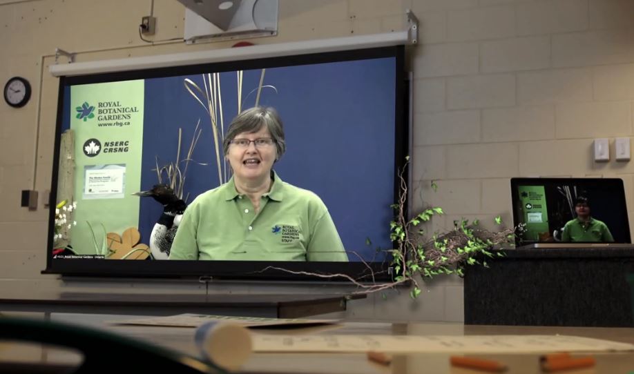 Virtual Field Trip On Screen In Classroom